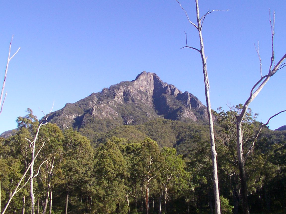 Looking north toward Mount Barney East Peak (1351m)